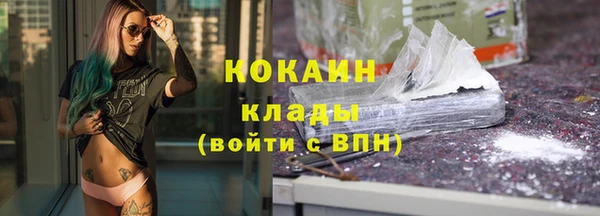 индика Арсеньев