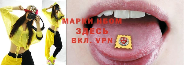 индика Арсеньев