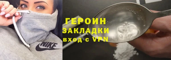 индика Арсеньев