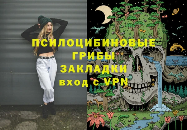 индика Арсеньев