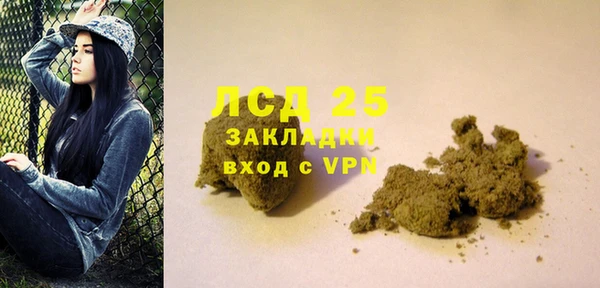 индика Арсеньев