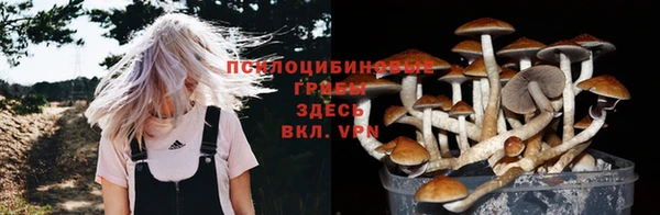 индика Арсеньев