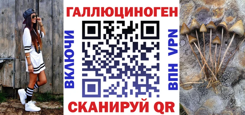 Псилоцибиновые грибы MAGIC MUSHROOMS  OMG как войти  сайты даркнета телеграм  Ахтубинск 